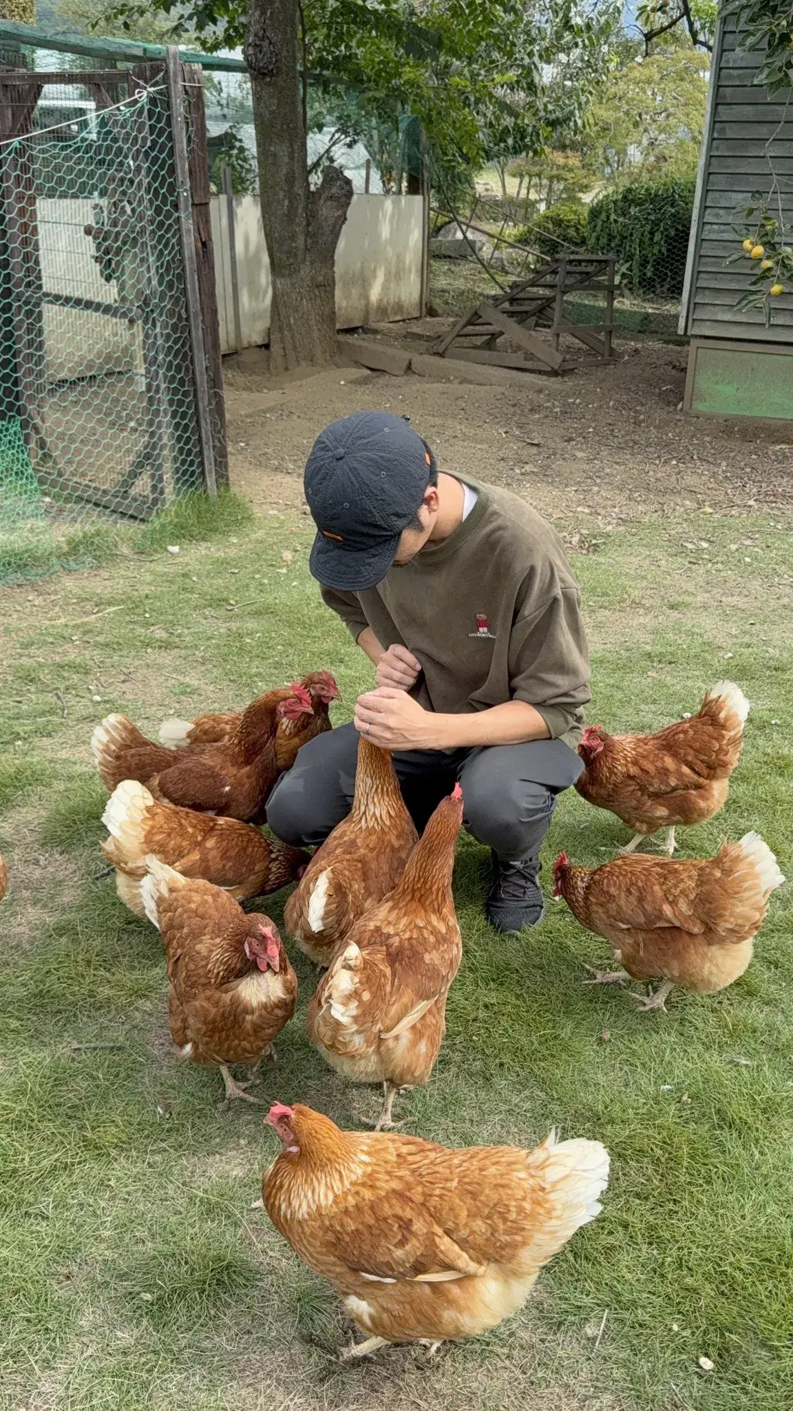Chicken House